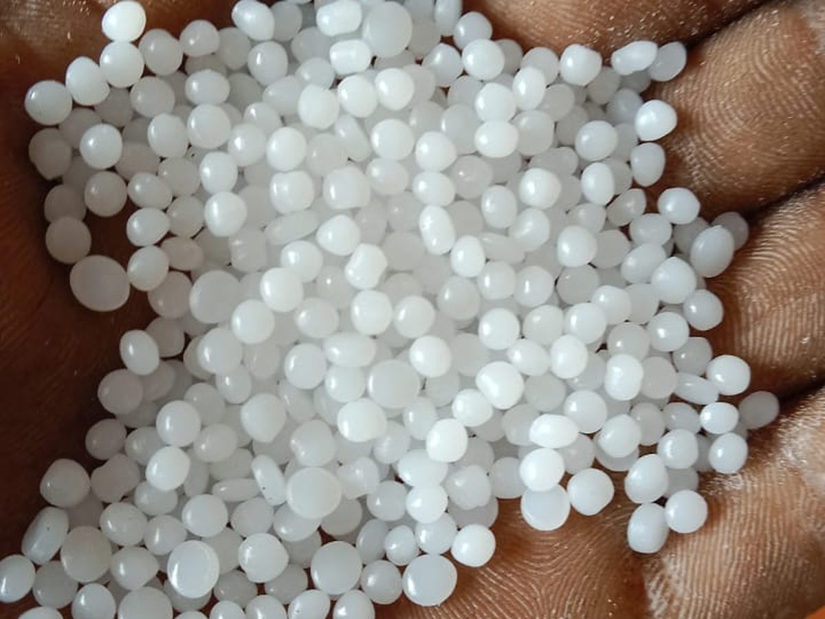 Natural resin pellets held in an open hand for grading